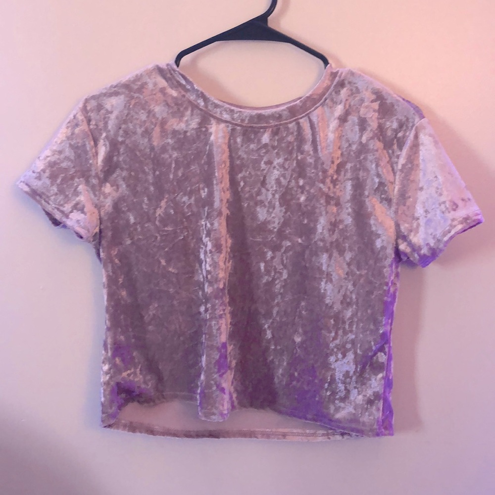 Super Cute Light Pink Velvet Top - NYLA